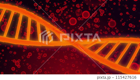 Image of dna over red cells on red background 115427616