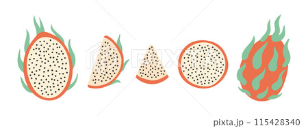 Set of abstract vector pitahaya. Simple pitahaya. Tropical fruit collection design for interior, poster, banner. Set of abstract vector pitahaya. Simple pitahaya. Tropical fruit collection design for interior, poster, banner. 115428340
