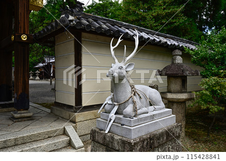 立木神社 狛鹿(神鹿) 立木神社 狛鹿(神鹿) 115428841