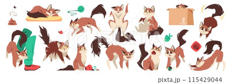 Cartoon cat in different mood. Pets behavior, cute domestic playful animal lifestyle, sleep, playfulness, protection and affection. Relaxing, lazy and afraid mammals. Tidy vector isolated set 115429044