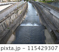 都会の中の川 115429307