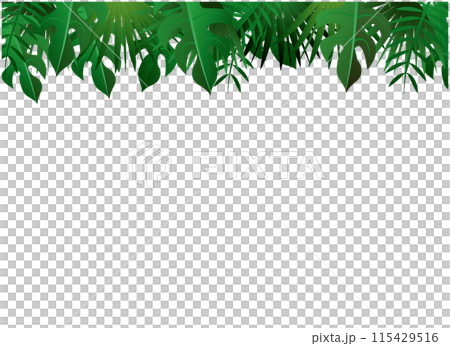 熱帶植物觀賞植物背景 熱帶植物觀賞植物背景 115429516