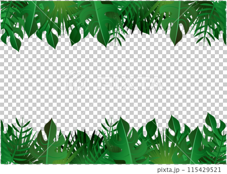 南国植物　観葉植物　背景 115429521