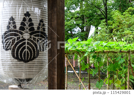 豊国神社　千成瓢箪 115429801
