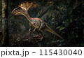 湿地帯のディロフォサウルス Swamp Dilophosaurus No8 115430040