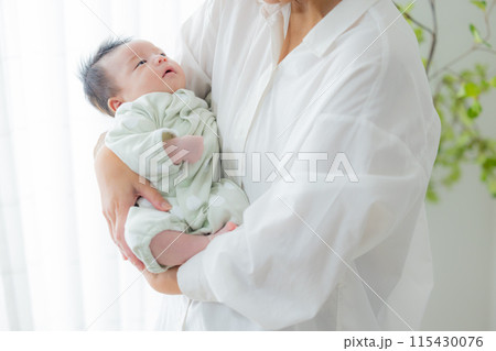 赤ちゃんを抱っこするファミリー 115430076