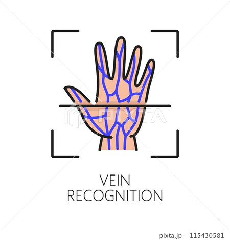 Vein recognition biometric identification or verification icon. Vector linear sign of hand with unique vascular pattern symbolizing advanced authentication technology for secure precise identification 115430581