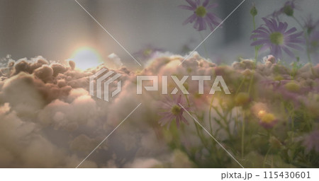 Image of sunset and flowers over senior woman lying in bed Image of sunset and flowers over senior woman lying in bed 115430601