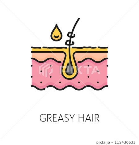 Greasy hair treatment, hair care linear color icon. Spa salon treatment product linear symbol, haircare cosmetology styling and grow or hair health bathroom cosmetics outline vector sign or icon 115430633