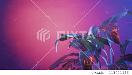Image of scope scanning and data processing over plant with neon background 115431128
