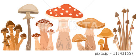 1690_mushrooms_set 115431557