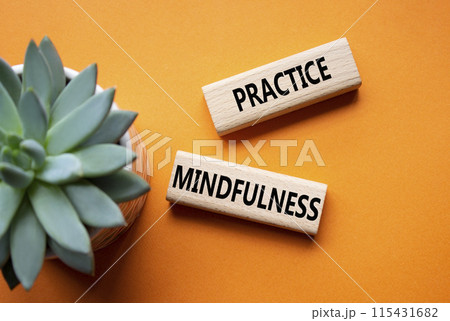Practice Mindfulness symbol. Concept words Practice Mindfulness on wooden blocks. Beautiful orange background with succulent plant. Medical and Psychology and Practice Mindfulness concept. Copy space. 115431682