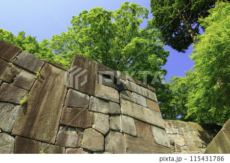 青空の広がる公園 青空の広がる公園 115431786