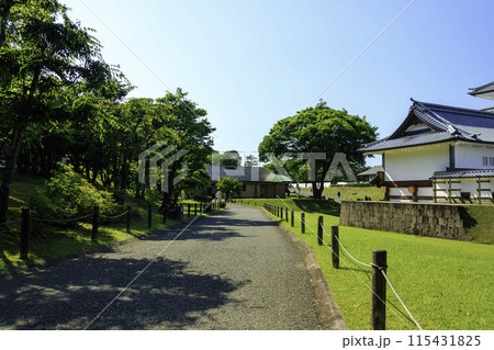 青空の広がる公園 青空の広がる公園 115431825