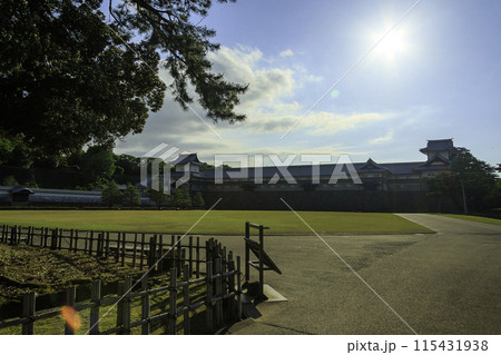 青空の広がる公園 青空の広がる公園 115431938