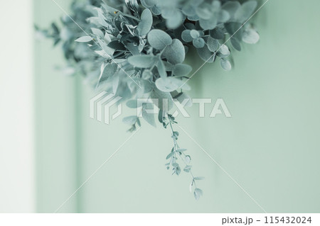 緑のドアに飾られユーカリのリース 115432024