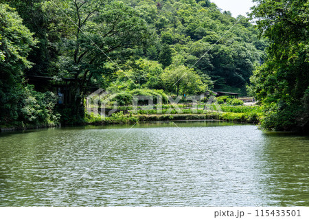 八日谷貯水池越しの閉園間近い平家谷花しょうぶ園 広島県福山市 八日谷貯水池越しの閉園間近い平家谷花しょうぶ園 広島県福山市 115433501
