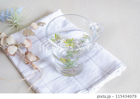 ローズマリーウォーター 115434079