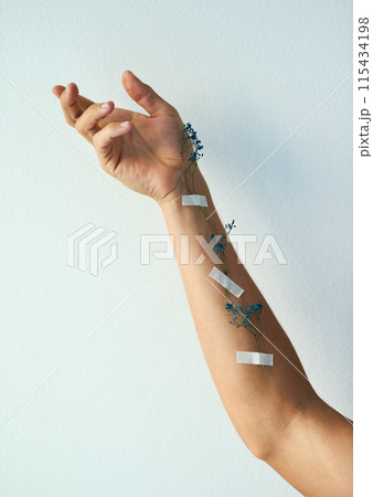 Beauty, skincare or hand with flower tape in studio for natural, sustainable or eco friendly cosmetics on white background. Art, healing or person with blue babys breath pattern for self care growth Beauty, skincare or hand with flower tape in studio for natural, sustainable or eco friendly cosmetics on white background. Art, healing or person with blue babys breath pattern for self care growth 115434198