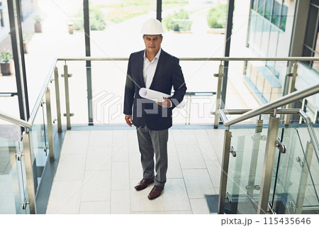 Mature, businessman and architect with blueprint in office building for project management, property planning or top view. Contractor, person or engineering portrait with floor plan for renovation Mature, businessman and architect with blueprint in office building for project management, property planning or top view. Contractor, person or engineering portrait with floor plan for renovation 115435646
