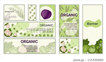 Set Cabbage banners vector. backgrounds Horizontal, vertical, square theme harvest, vegetables. Set Cabbage banners vector. backgrounds Horizontal, vertical, square theme harvest, vegetables. 115436900