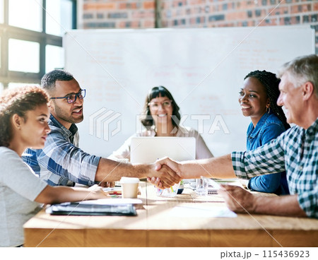 Welcome, hiring or business people with handshake in office for interview intro, deal or negotiation success. Thank you, contract and b2b team shaking hands for onboarding, support or congratulations 115436923