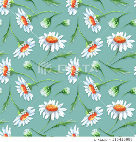 Watercolor seamless pattern with camomile flowers, leaves and buds. 115436999