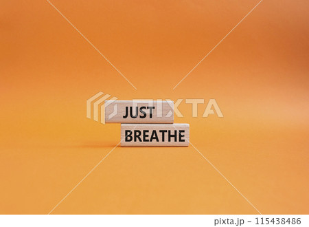 Just Breathe symbol. Wooden blocks with words Just Breathe. Beautiful orange background. Business and Just Breathe concept. Copy space. Just Breathe symbol. Wooden blocks with words Just Breathe. Beautiful orange background. Business and Just Breathe concept. Copy space. 115438486