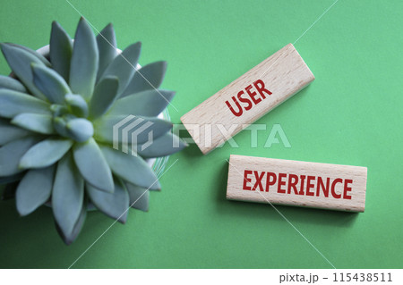User Experience symbol. Concept word User Experience on wooden blocks. Beautiful green background with succulent plant. Business and User Experience concept. Copy space 115438511