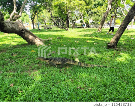 ルンピニー公園 ルンピニー公園 115438738