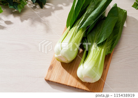 チンゲン菜 115438919