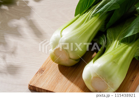 チンゲン菜 115438921