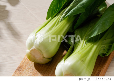 チンゲン菜 115438923