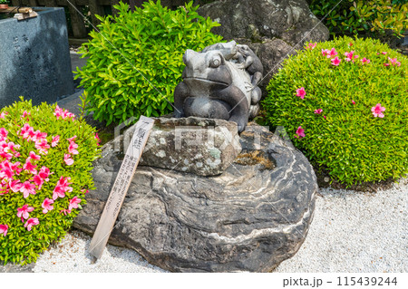 京都西院 西院春日神社の一願蛙 京都西院 西院春日神社の一願蛙 115439244