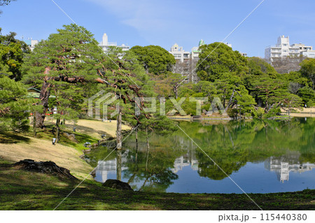 六義園の吹上松と大泉水　東京都 115440380