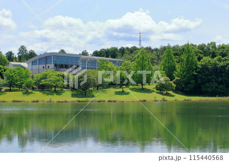 初夏の瀬田公園体育館周辺の風景 初夏の瀬田公園体育館周辺の風景 115440568
