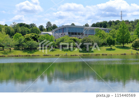 初夏の瀬田公園体育館周辺の風景 115440569