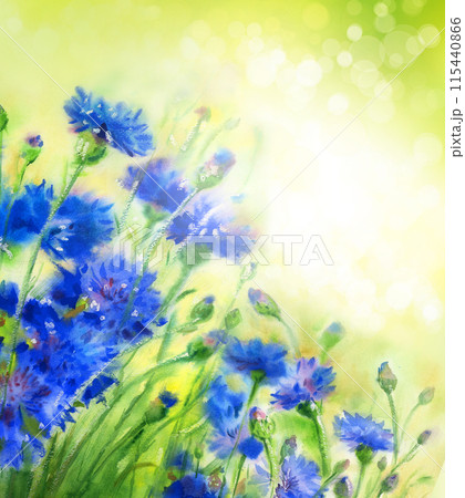 Blue cornflowers on green lights background. Watercolor flowers. Illustration. Blue cornflowers on green lights background. Watercolor flowers. Illustration. 115440866