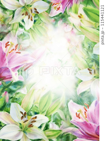 White and pink lilies floral background. Watercolor illustration. White and pink lilies floral background. Watercolor illustration. 115441121