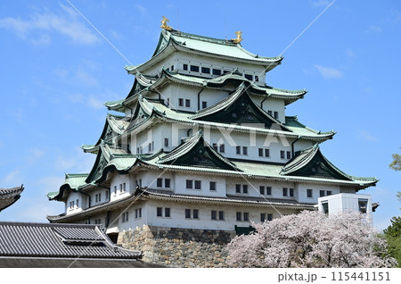 名古屋城の天守閣と桜の花 名古屋城の天守閣と桜の花 115441151