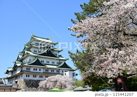 名古屋城の天守閣と桜の花 名古屋城の天守閣と桜の花 115441207