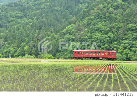 田植え直後の田んぼ越しの長良川鉄道の列車 田植え直後の田んぼ越しの長良川鉄道の列車 115441215