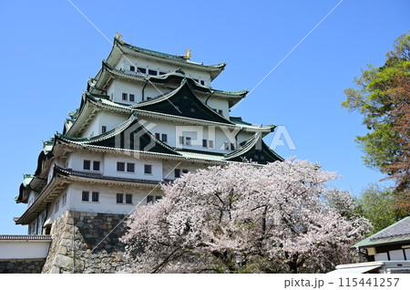 名古屋城の天守閣と桜の花 名古屋城の天守閣と桜の花 115441257