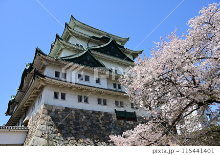 桜の季節と名古屋城の天守閣 桜の季節と名古屋城の天守閣 115441401