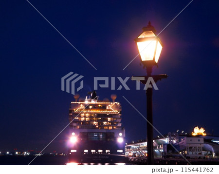 神奈川県 街灯とセレブリティミレニアム 3月 神奈川県 街灯とセレブリティミレニアム 3月 115441762