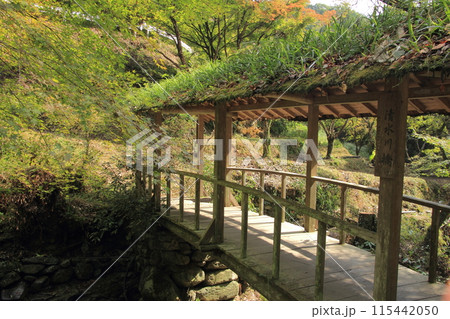 愛媛県内子町 石畳地区にある清水川橋 愛媛県内子町 石畳地区にある清水川橋 115442050