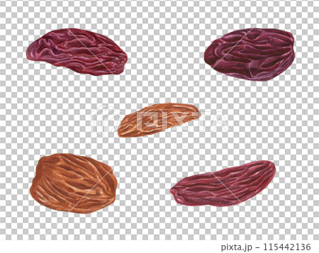 Raw organic raisin. Dried berries of grape. Set of sweet mix raisins. Dry textured fruits for bakery, drinks. Delicious dessert in red and golden colors. Healthy food snack. Watercolor illustration. 115442136