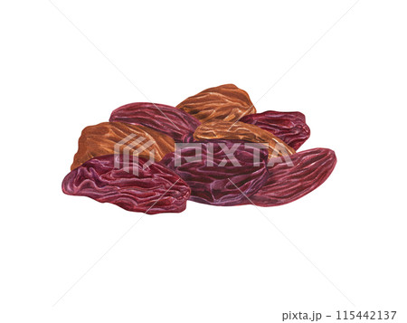 Golden and Red Raisin Pile. Raw organic dried grapes. Sweet mix raisins. Delicious vegan dessert. Watercolor illustration of healthy snack. Dry fruits for bakery. Xmas drink decoration Golden and Red Raisin Pile. Raw organic dried grapes. Sweet mix raisins. Delicious vegan dessert. Watercolor illustration of healthy snack. Dry fruits for bakery. Xmas drink decoration 115442137