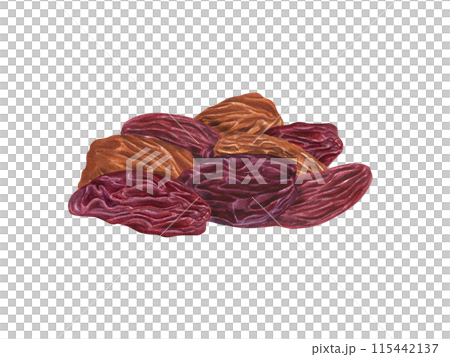 Golden and Red Raisin Pile. Raw organic dried grapes. Sweet mix raisins. Delicious vegan dessert. Watercolor illustration of healthy snack. Dry fruits for bakery. Xmas drink decoration 115442137