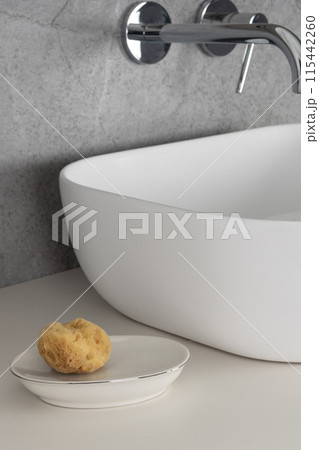 Minimalist Bathroom with Sponge 115442260